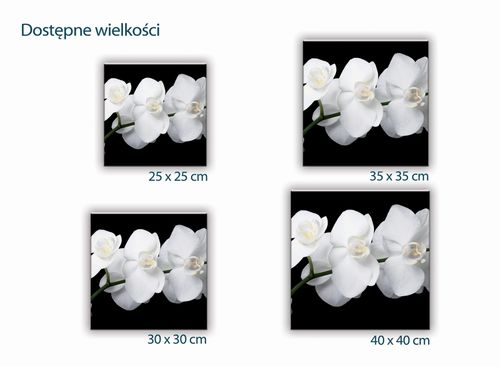 SZKLANA DESKA KUCHENNA 30x30 438f Biała orchidea na Arena.pl