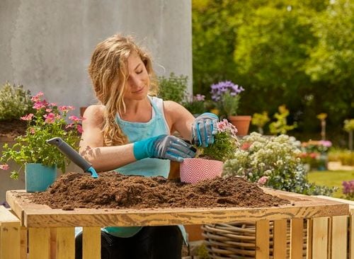 rękawice ogrodnicze m - hg-11501-20 na Arena.pl