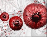 40CM 50CM OBRAZEK ŚCIENNY CZERWONE DMUCHAWCE 2 DRUK PŁÓTNO OBRAZ