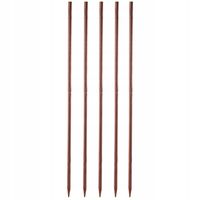 Podpora Do Roślin Kwiatów Palik Impregnowany 5szt