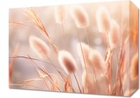 Obraz 40x30cm Kwiaty Słońca