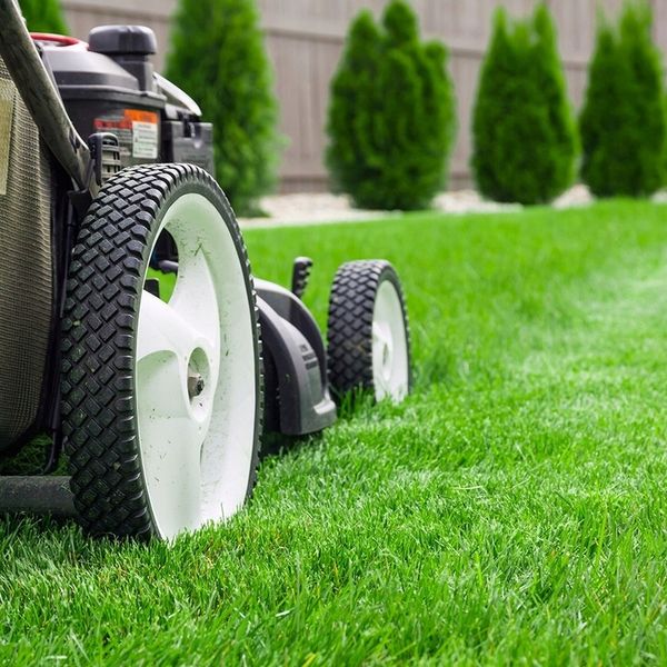 Trawa BARENBRUG RPR Lawn 1kg zdjęcie 3