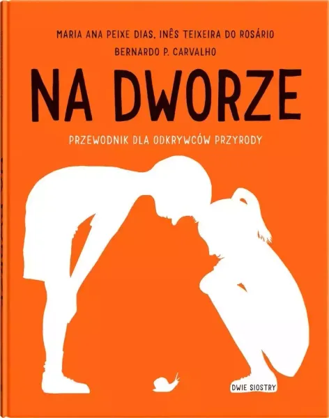 Na dworze zdjęcie 1