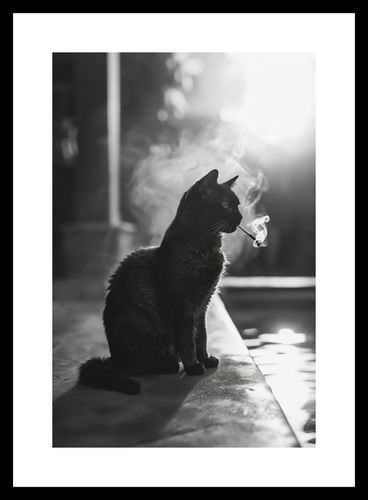 Plakat 20x30cm Kocia Przerwa na Arena.pl