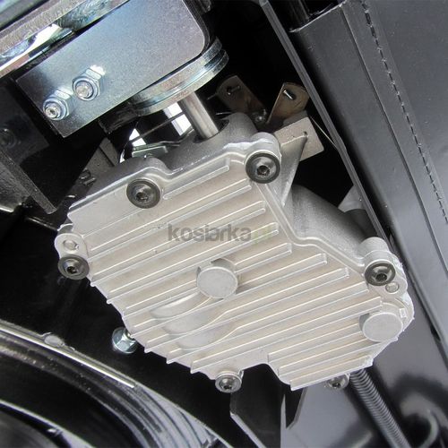 ACTIVE 5850SCH na Arena.pl