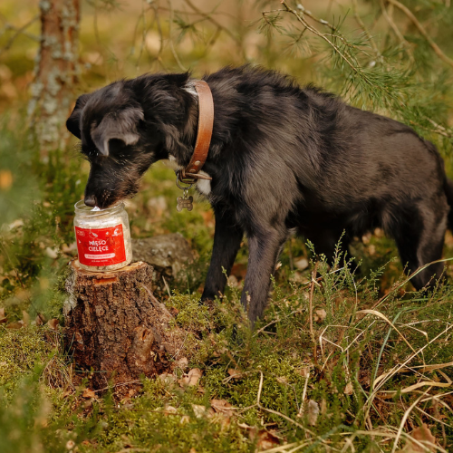 Liofilizowane mięso cielęce, wątróbka strusia, żołądki z kurczaka dla psa na Arena.pl