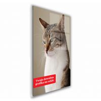 FOTO OBRAZ TWOJE ZDJĘCIE na SZKLE 40x60cm