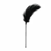 rimba feather tickler czarny miękki piorko do masażu 37 cm