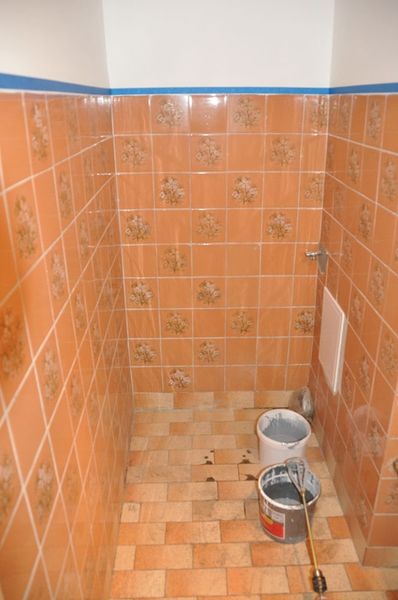 Farba RENOWACJA PŁYTEK ceramicznych kolory RAL zdjęcie 1