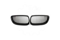 Grill, nerki BMW 3 E90 2007 2008 2009 2010 2011