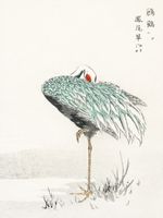Plakat 60x80cm White-naped Crane, Kashu Vintage do Salonu