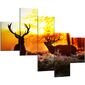 thumbnail-4