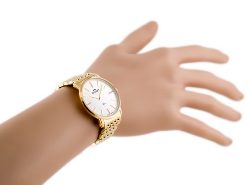 BISSET BSBE54 - gold/white (zb554c) na Arena.pl