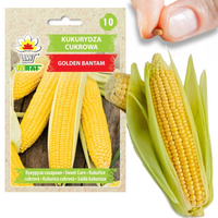 KUKURYDZA NASIONA KUKURYDZY CUKROWA GOLDEN BANTAM ORYGINALNE SŁODKA 20