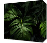 Obraz 30x30cm Zielony Szept