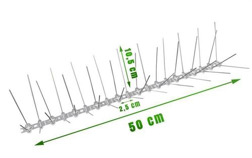 Kolce na ptaki na Arena.pl