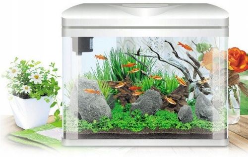 INVITAL EasyTank PRO LED 16 litrów z filtracją w pokrywie czarny na Arena.pl