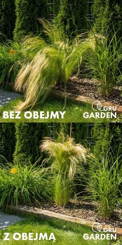 OBEJMA DO ROŚLIN UCHWYT 8 MM PODPORA ZIELONA HORTENSJE PIWONIE na Arena.pl