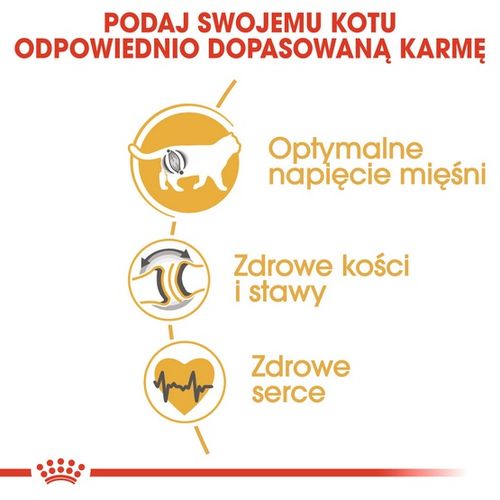 Karma dla kotów rasy brytyjski krótkowłosy Royal Canin OCHRONA STAWÓW 4kg na Arena.pl