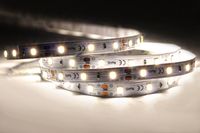 Profesjonalna taśma LED 9.6W/m, 24V, 120LED 2835 biała 6500K, IP64
