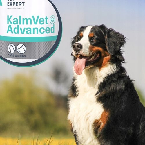 Vetexpert KalmVet ADVANCED TwistOff objawy stresu pies / kot 60 kapsułek na Arena.pl
