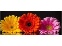 100X40CM GERBERY OBRAZ DREWNO