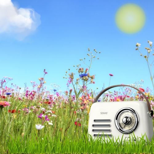 Radio przenośne Savio RS-02 na Arena.pl