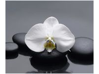 product-compare-58647495