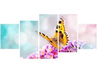 70CM 150CM OBRAZ 5 ELEM MOTYL KWIATKACH ŚCIENNY