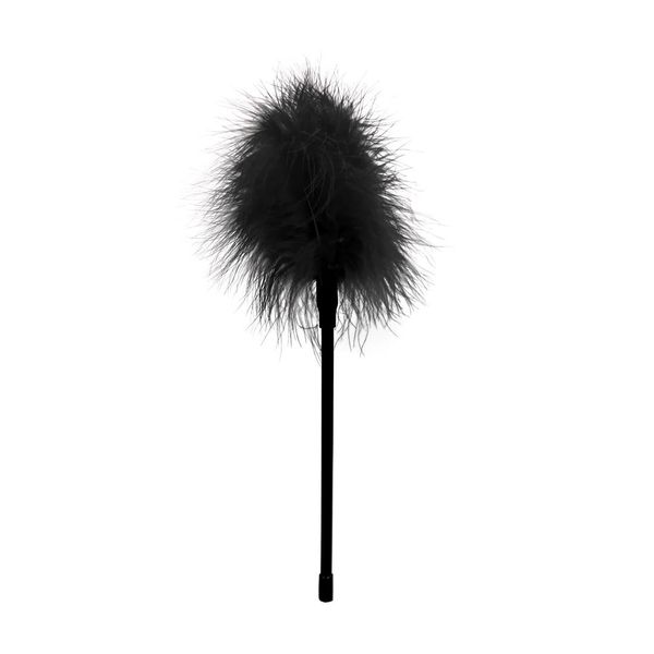 Feather zdjęcie 1