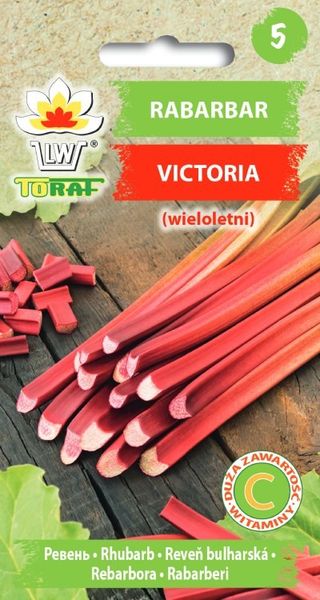 Rabarbar VICTORIA nasiona 0,5 g. zdjęcie 1