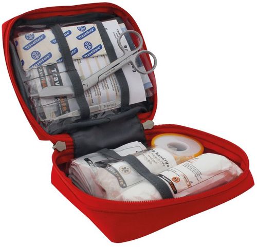 Apteczka Pierwszej Pomocy Globe Basic Bag 10 elementów TravelSafe na Arena.pl