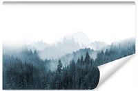 Fototapeta Do Salonu Mglisty Las KRAJOBRAZ Efekt 3D Natura 315cm x 210cm