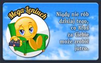 Magnes Mega Leniuch