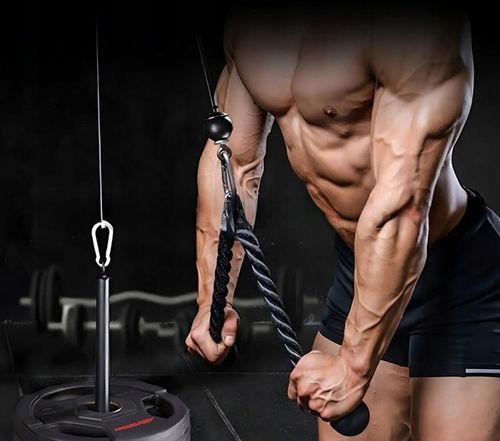 WYCIĄG GÓRNY DOLNY DO ĆWICZEŃ ŚCIANY SUFITU UCHWYT SZNUR ATLASU TRICEPS na Arena.pl