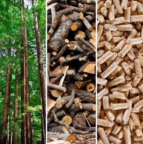 Żwirek dla kota królika chomika świnki Drewniany Jasny naturalny 15 kg na Arena.pl