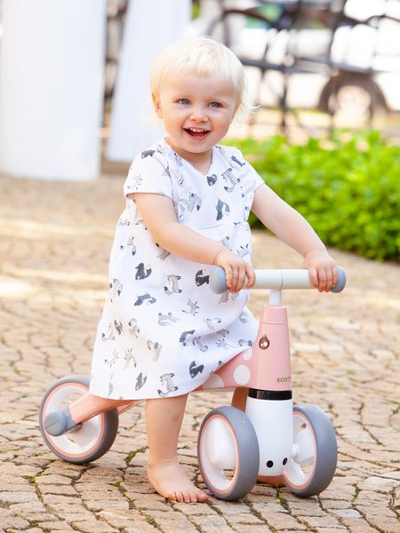 Rowerek biegowy "Flaming" Ecotoys zdjęcie 4