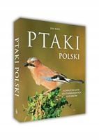 Ptaki Polski - Król Jan
