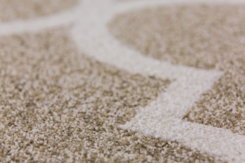Dywan Carpetforyou Talizman 80x150 na Arena.pl