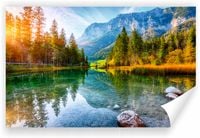 Fototapeta PREMIUM STRUKTURA ZMYWALANA drzewa, wschód słońca nad jeziorem