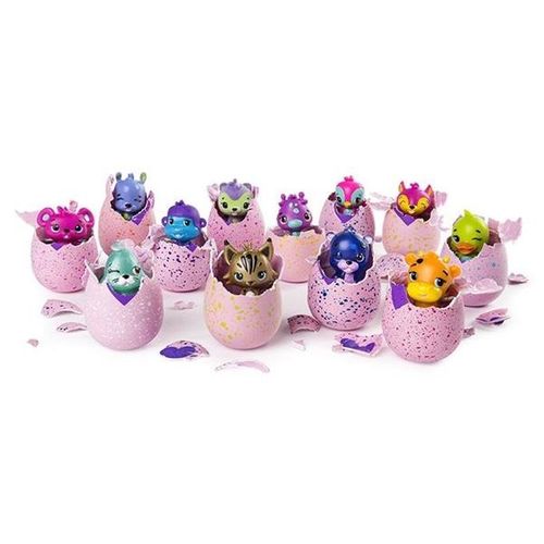 Hatchimals 1 pak S2 na Arena.pl