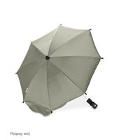 ND33_TEROA-1222 16 PARASOLKA POLARNY MIŚ