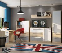 Zestaw Mebli Do Pokoju Młodzieżowego Wielokolorowe DRIPS ML