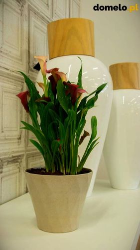 DONICZKA DELTA 200 A3 na Arena.pl