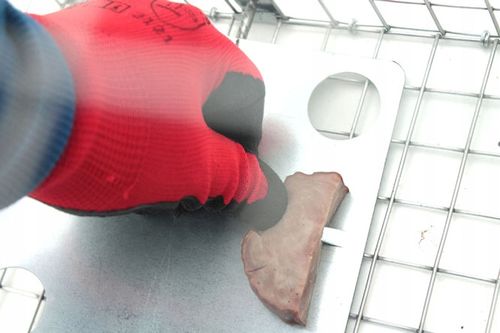 żywołapka pułapka na kuny, koty, lisy super szybka na Arena.pl