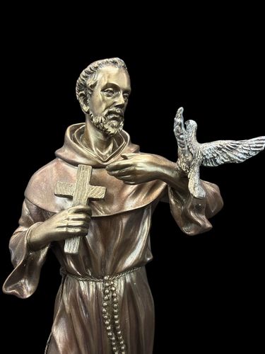 ŚW. FRANCISZEK Z ASYŻU VERONESE (WU76058A4) na Arena.pl