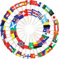 100X WYKAŁACZKI FLAGI KRAJE NARODOWE DWUSTRONNE MINI KOKTAJL GRILL PIKNIK