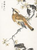 Plakat 75x100cm Eastern Waxwing, Kashu Japoński Vintage do Salonu