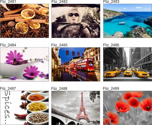 FOTOTAPETA CYTRUSY GREJPFRUTY CYTRYNY LIMONKI na Arena.pl