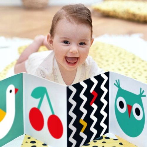 CzuCzu Starter Malucha Co Widzę Karty Kontrastowe 0-3-6 mies. 62312 na Arena.pl